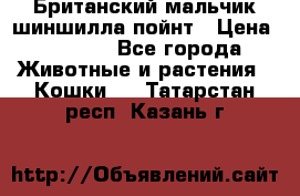 Британский мальчик шиншилла-пойнт › Цена ­ 5 000 - Все города Животные и растения » Кошки   . Татарстан респ.,Казань г.